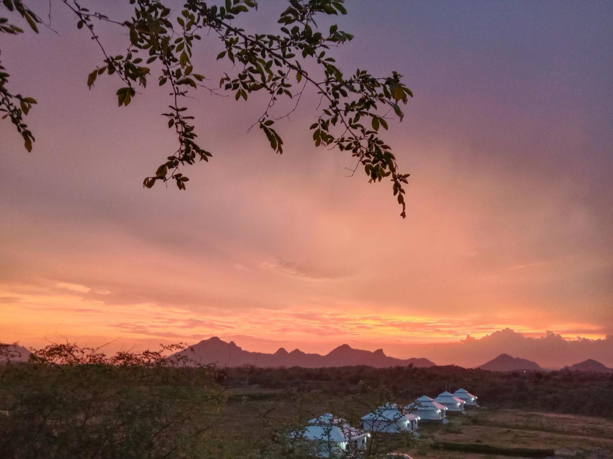 The Bagheera Bagh Jawai Hotel Bera Kültér fotó