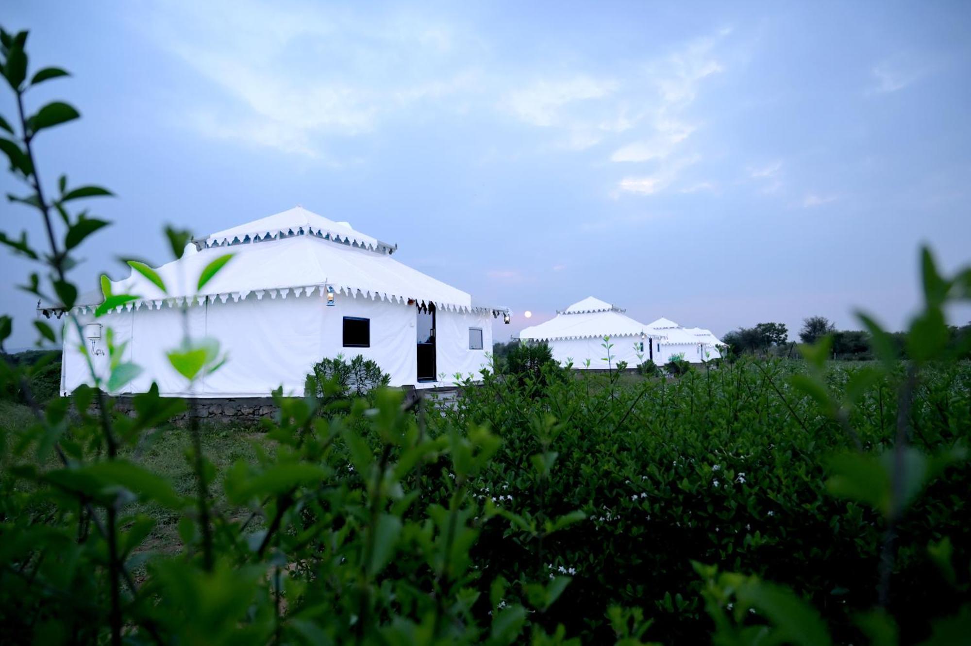 The Bagheera Bagh Jawai Hotel Bera Kültér fotó